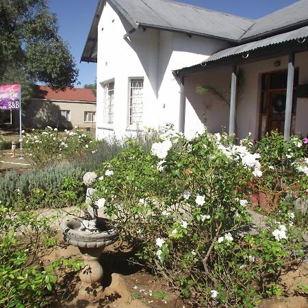 Lavender Rose Bed and Breakfast Bethulie Exteriör bild