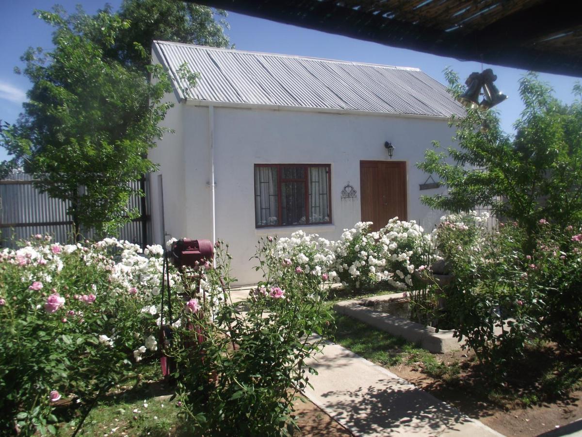 Lavender Rose Bed and Breakfast Bethulie Exteriör bild