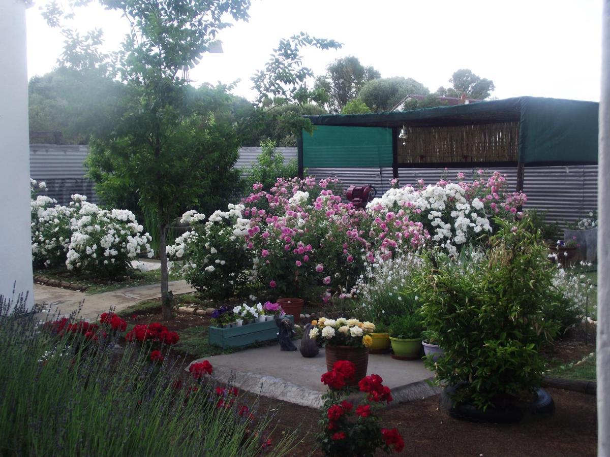 Lavender Rose Bed and Breakfast Bethulie Exteriör bild