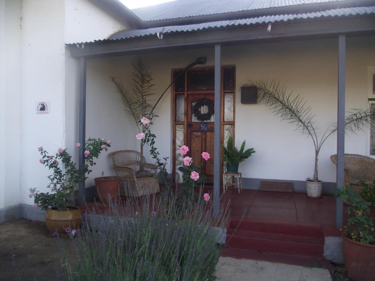 Lavender Rose Bed and Breakfast Bethulie Exteriör bild