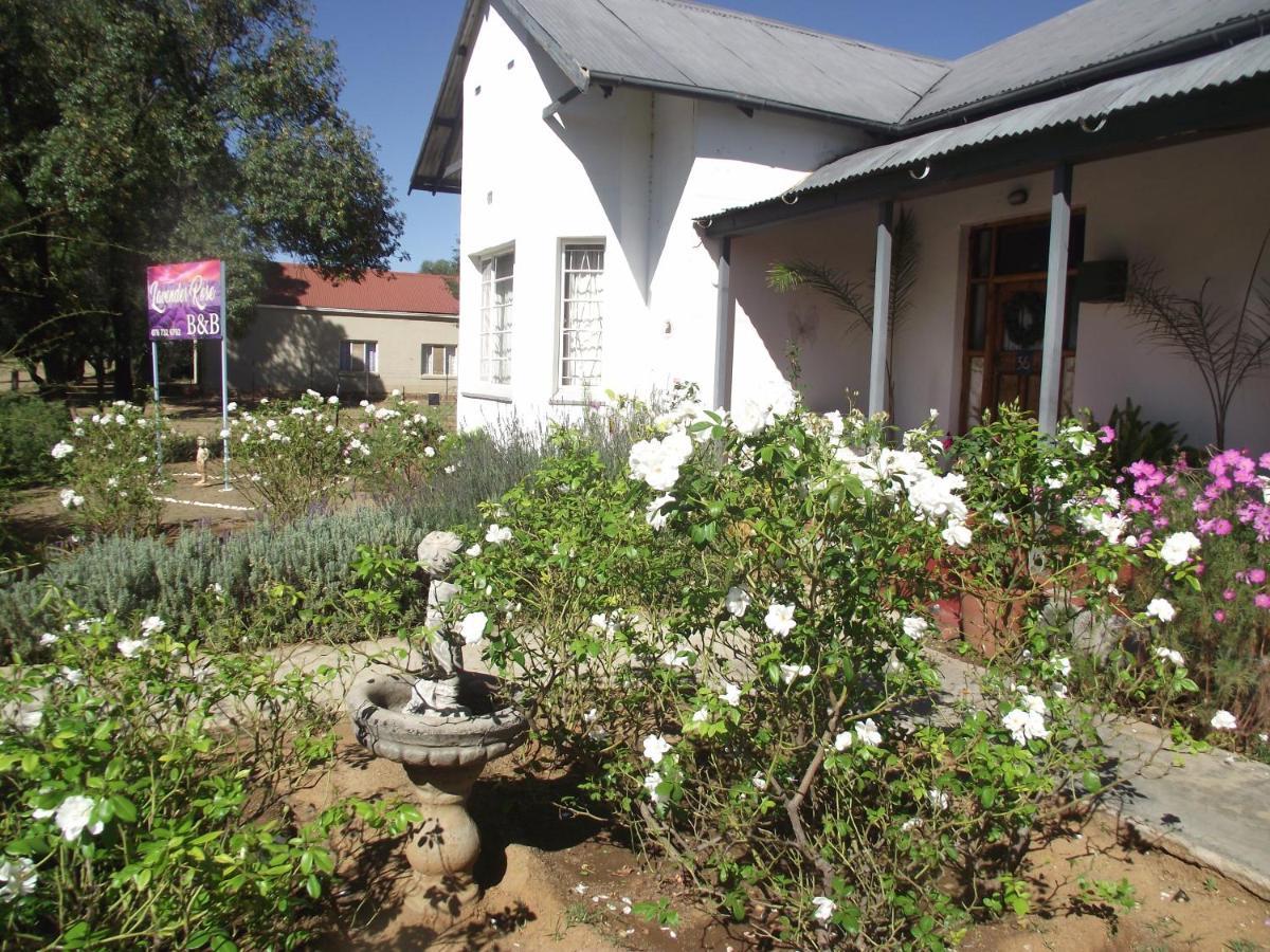 Lavender Rose Bed and Breakfast Bethulie Exteriör bild