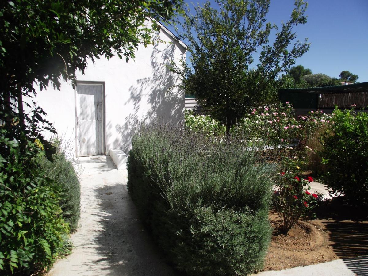 Lavender Rose Bed and Breakfast Bethulie Exteriör bild
