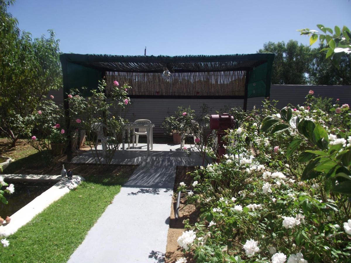 Lavender Rose Bed and Breakfast Bethulie Exteriör bild